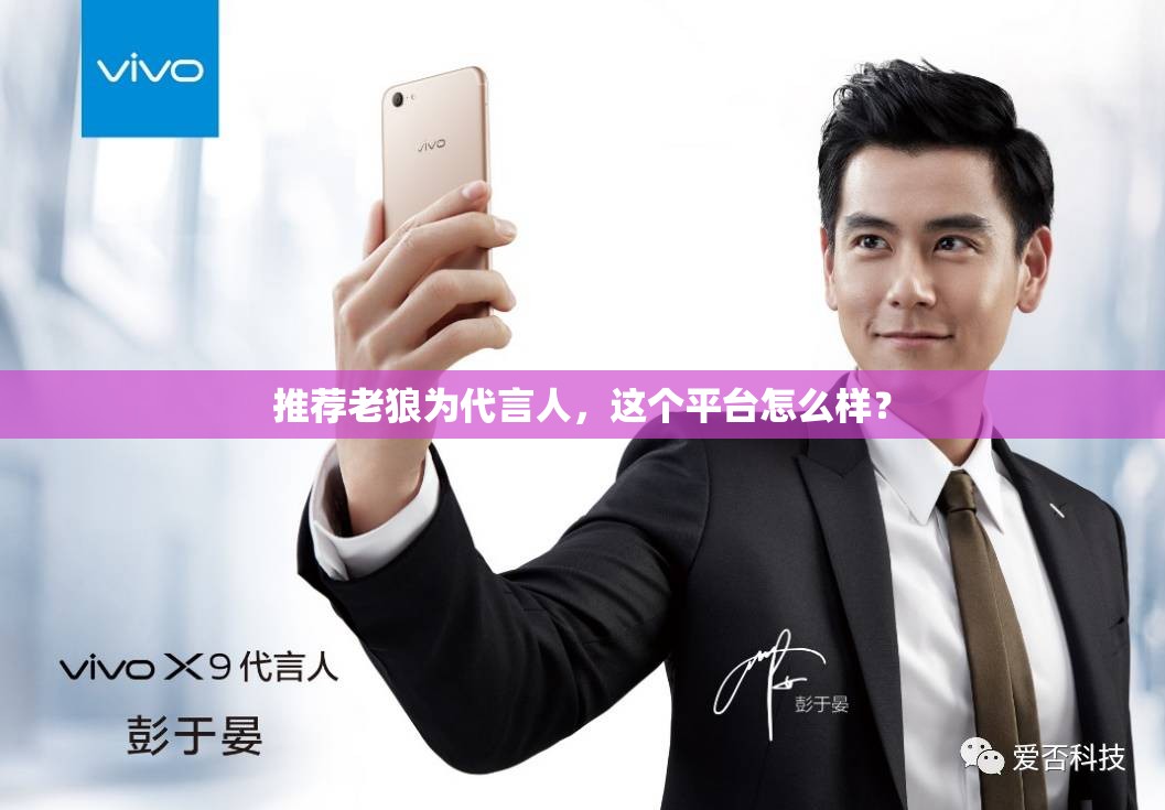 推荐老狼为代言人，这个平台怎么样？