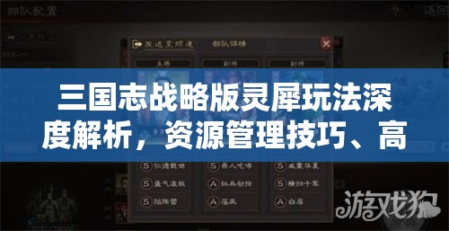 三国志战略版灵犀玩法深度解析，资源管理技巧、高效利用策略与价值最大化指南