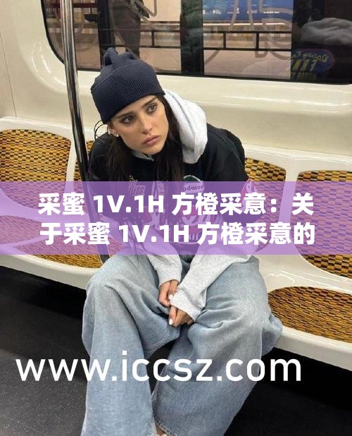采蜜 1V.1H 方橙采意：关于采蜜 1V.1H 方橙采意的详细解析