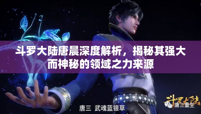 斗罗大陆唐晨深度解析，揭秘其强大而神秘的领域之力来源