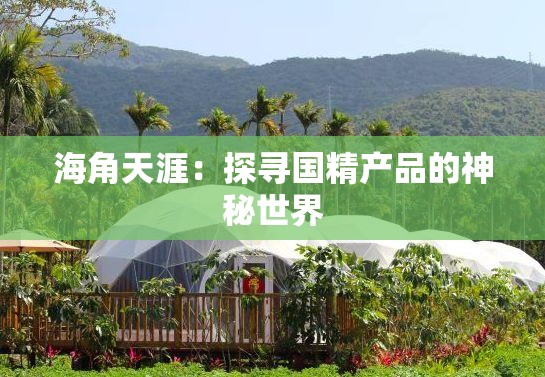 海角天涯：探寻国精产品的神秘世界