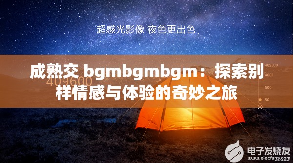 成熟交 bgmbgmbgm：探索别样情感与体验的奇妙之旅