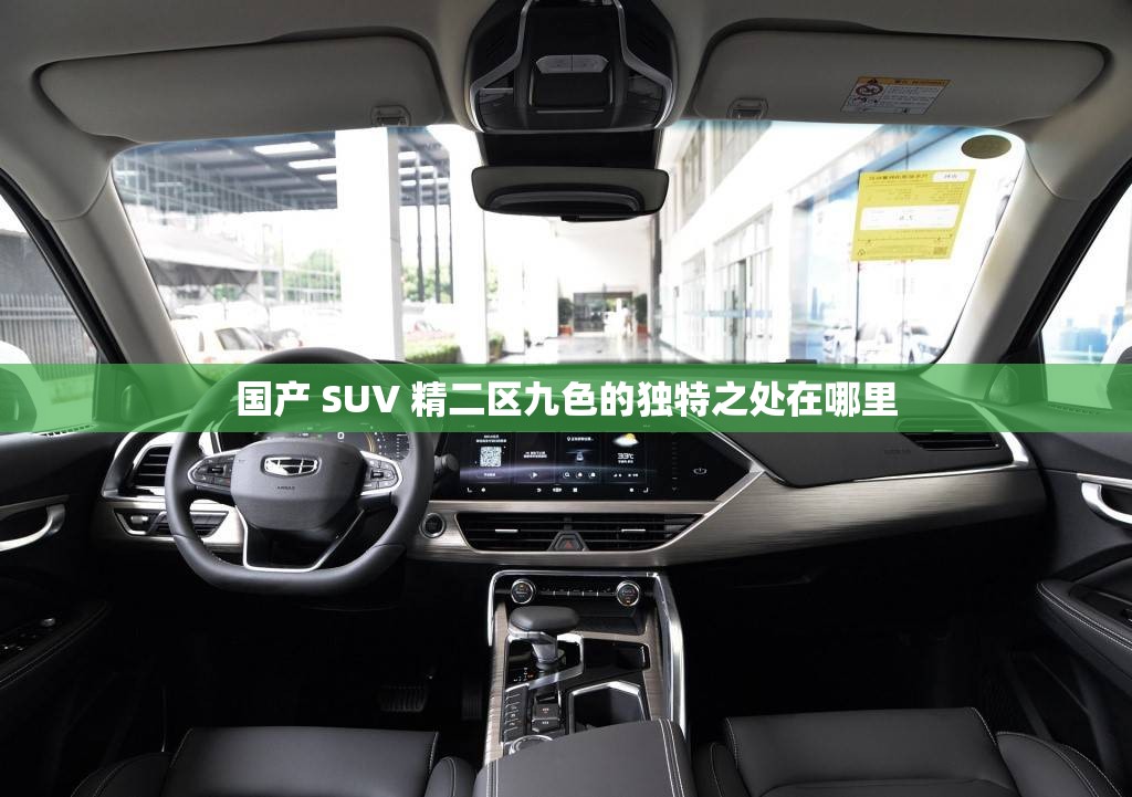 国产 SUV 精二区九色的独特之处在哪里