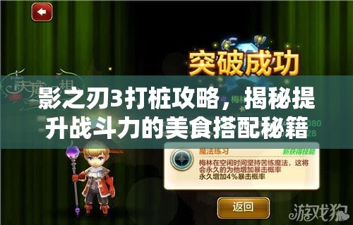 影之刃3打桩攻略，揭秘提升战斗力的美食搭配秘籍！