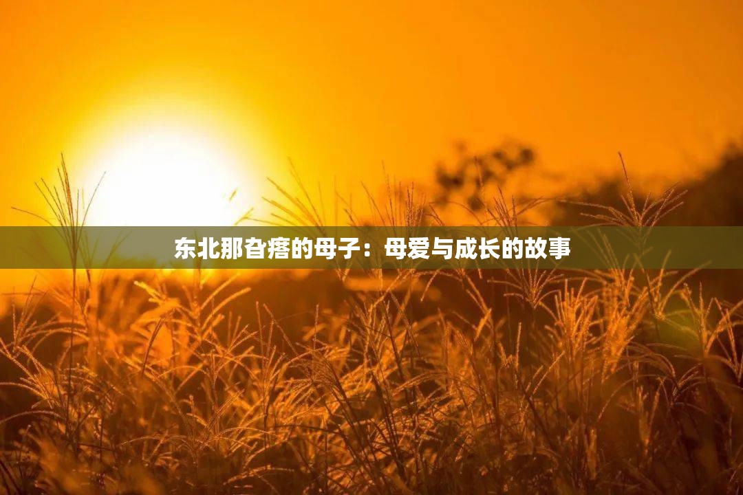 东北那旮瘩的母子：母爱与成长的故事