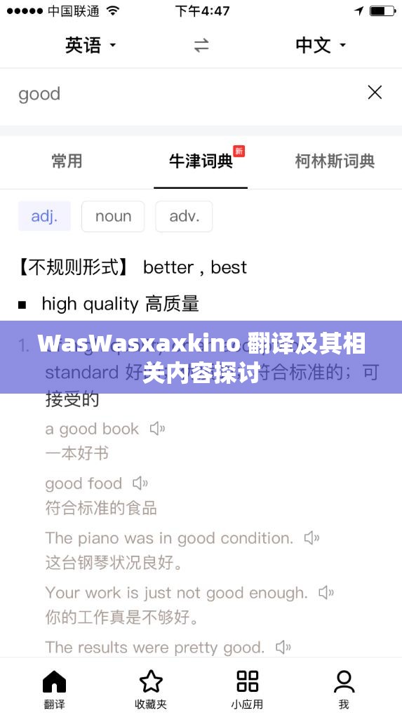 WasWasxaxkino 翻译及其相关内容探讨