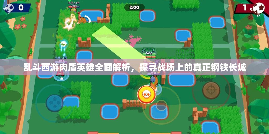 乱斗西游肉盾英雄全面解析，探寻战场上的真正钢铁长城