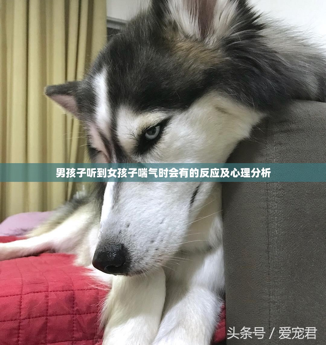 男孩子听到女孩子喘气时会有的反应及心理分析