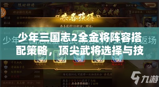 少年三国志2全金将阵容搭配策略，顶尖武将选择与技能搭配指南