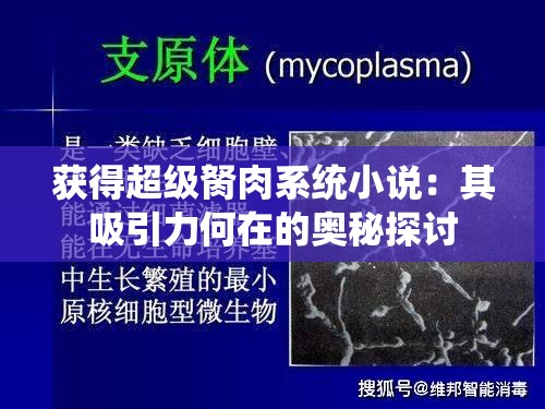 获得超级胬肉系统小说：其吸引力何在的奥秘探讨