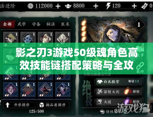 影之刃3游戏50级魂角色高效技能链搭配策略与全攻略