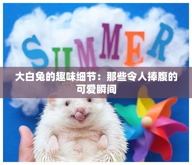 大白兔的趣味细节：那些令人捧腹的可爱瞬间