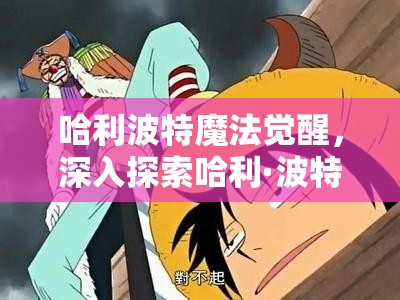哈利波特魔法觉醒，深入探索哈利·波特神秘而奇妙的踪迹之旅