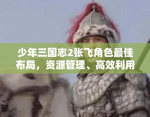 少年三国志2张飞角色最佳布局，资源管理、高效利用策略与避免资源浪费指南