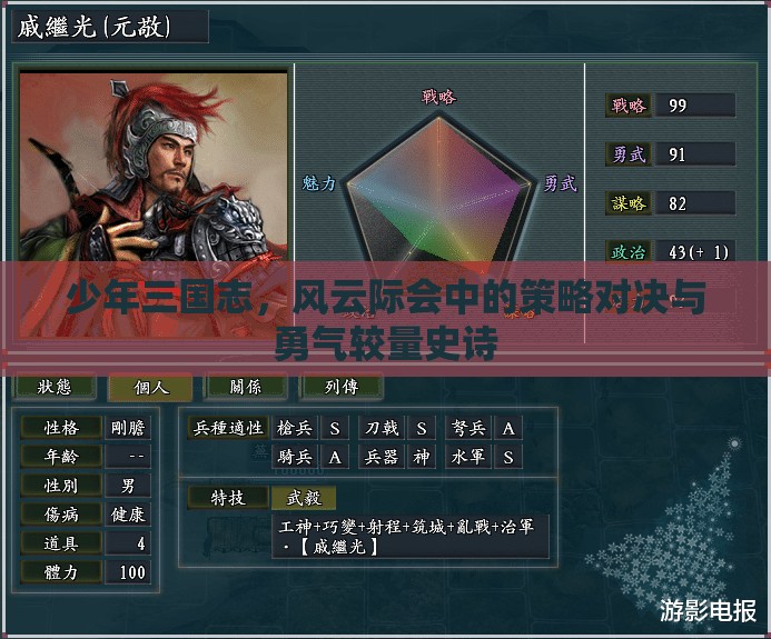 少年三国志，风云际会中的策略对决与勇气较量史诗
