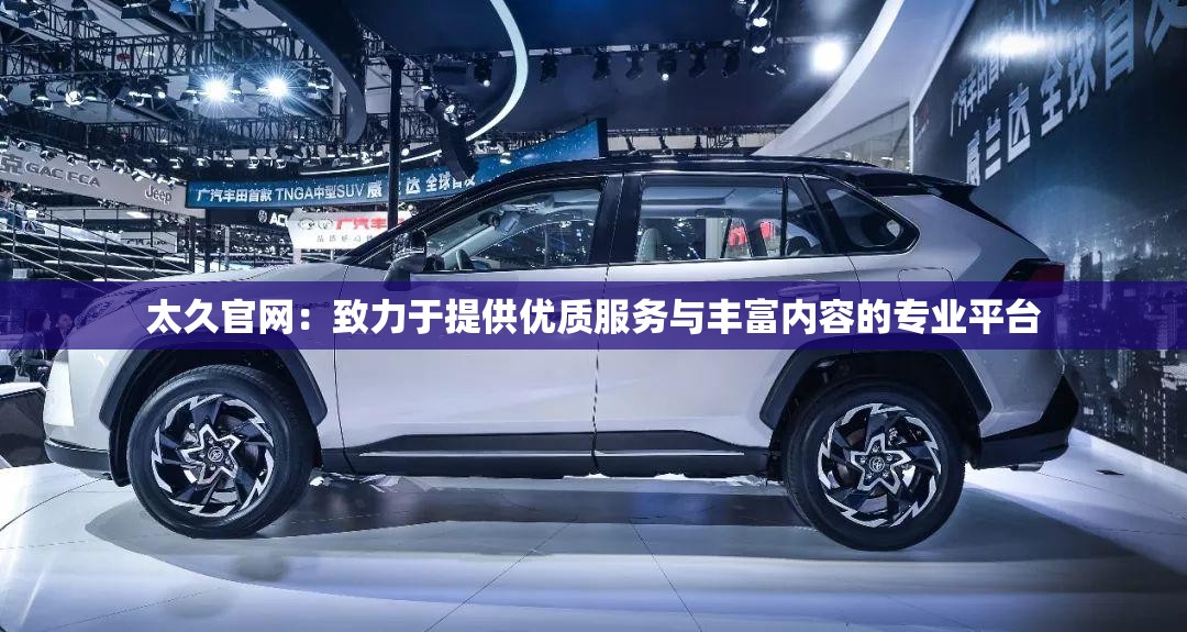 太久官网：致力于提供优质服务与丰富内容的专业平台