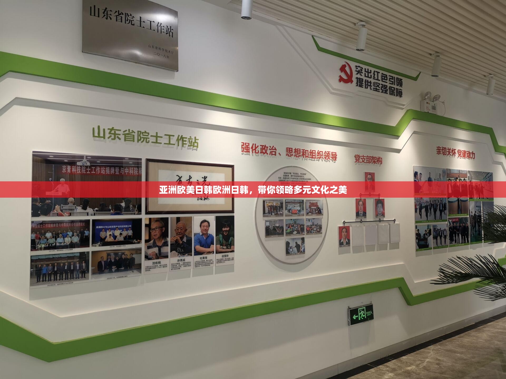 亚洲欧美日韩欧洲日韩，带你领略多元文化之美