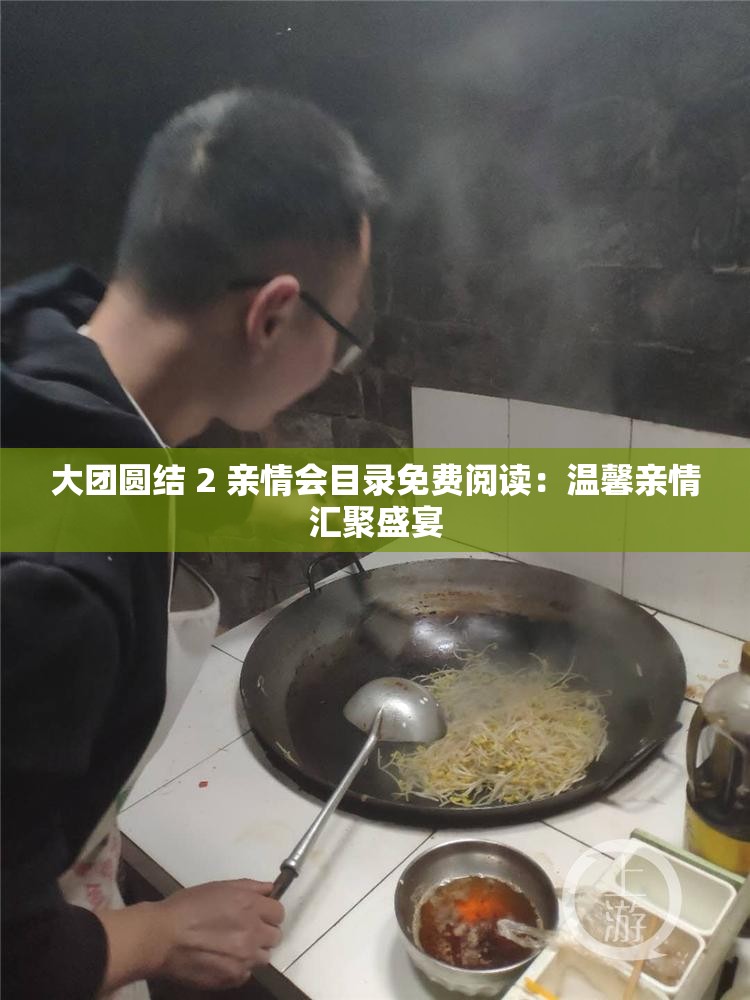 大团圆结 2 亲情会目录免费阅读：温馨亲情汇聚盛宴