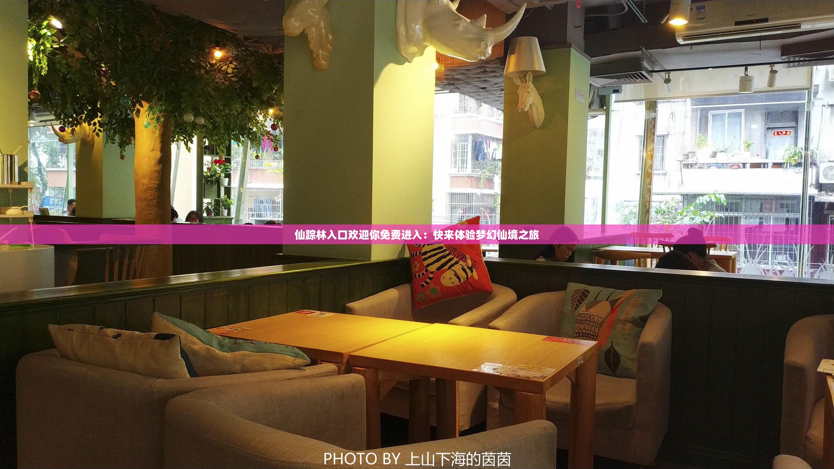 仙踪林入口欢迎你免费进入：快来体验梦幻仙境之旅