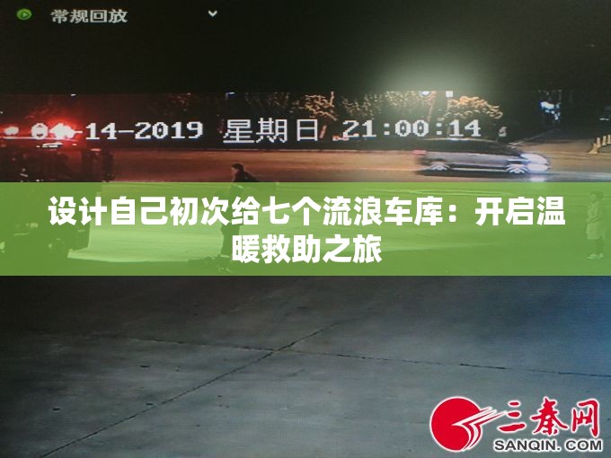 设计自己初次给七个流浪车库：开启温暖救助之旅
