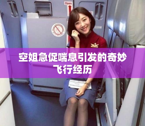 空姐急促喘息引发的奇妙飞行经历