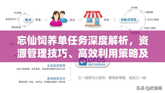 忘仙饲养单任务深度解析，资源管理技巧、高效利用策略及避免浪费方法