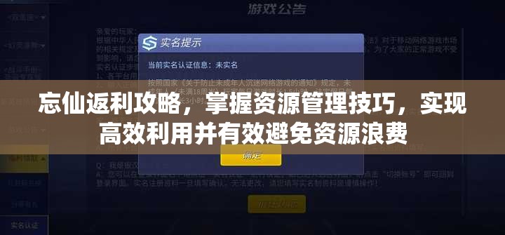 忘仙返利攻略，掌握资源管理技巧，实现高效利用并有效避免资源浪费