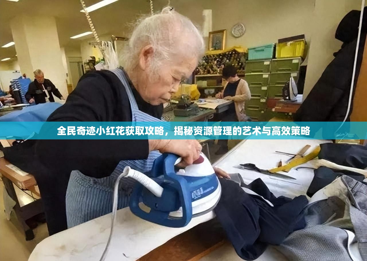 全民奇迹小红花获取攻略，揭秘资源管理的艺术与高效策略