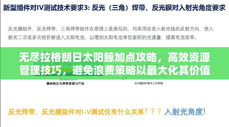 无尽拉格朗日太阳鲸加点攻略，高效资源管理技巧，避免浪费策略以最大化其价值