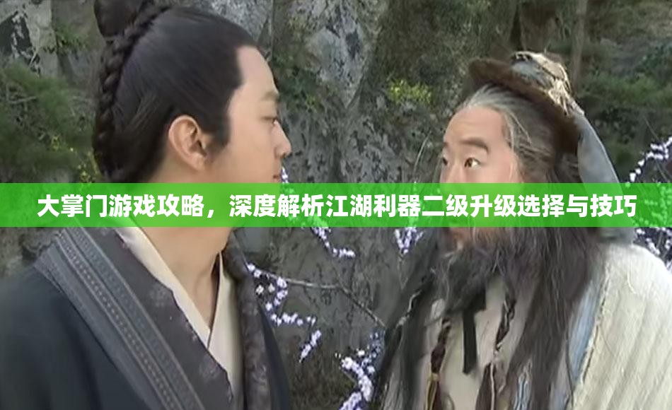 大掌门游戏攻略，深度解析江湖利器二级升级选择与技巧