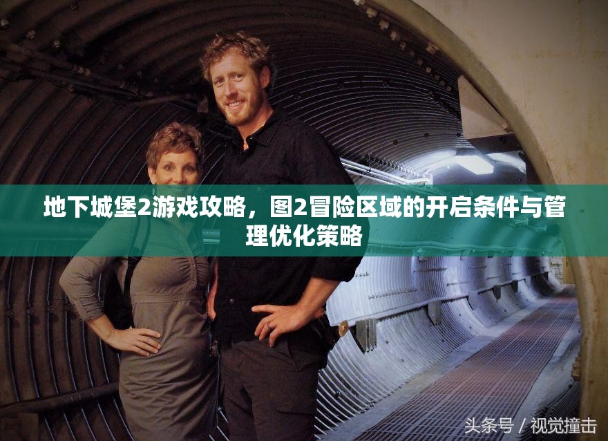 地下城堡2游戏攻略，图2冒险区域的开启条件与管理优化策略