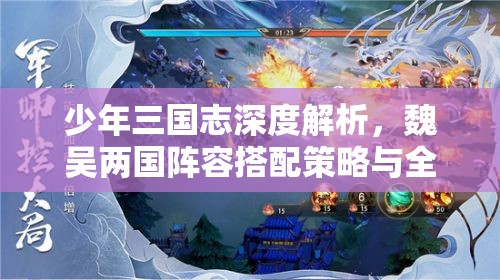 少年三国志深度解析，魏吴两国阵容搭配策略与全攻略指南