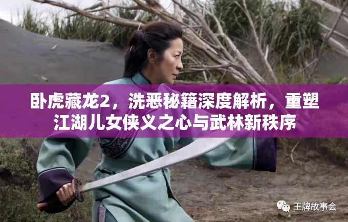 卧虎藏龙2，洗恶秘籍深度解析，重塑江湖儿女侠义之心与武林新秩序