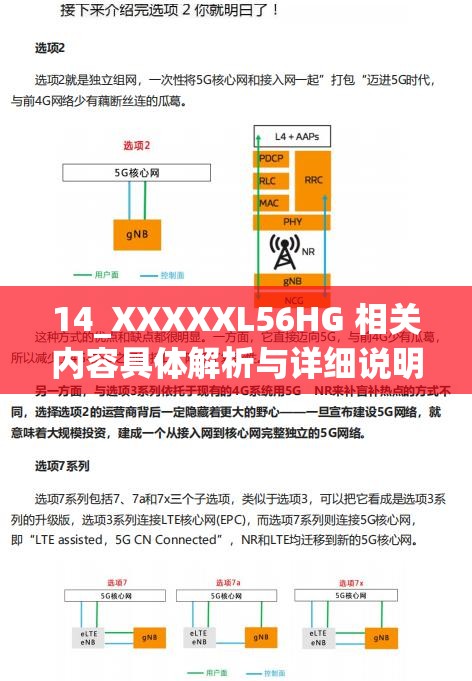 14_XXXXXL56HG 相关内容具体解析与详细说明