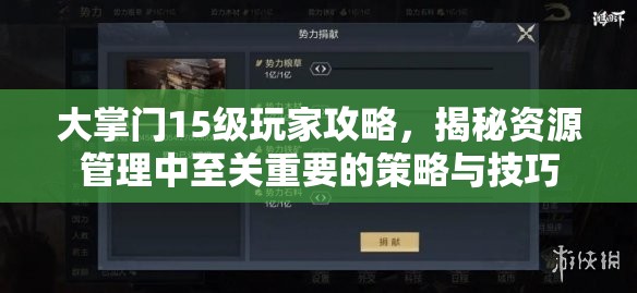 大掌门15级玩家攻略，揭秘资源管理中至关重要的策略与技巧