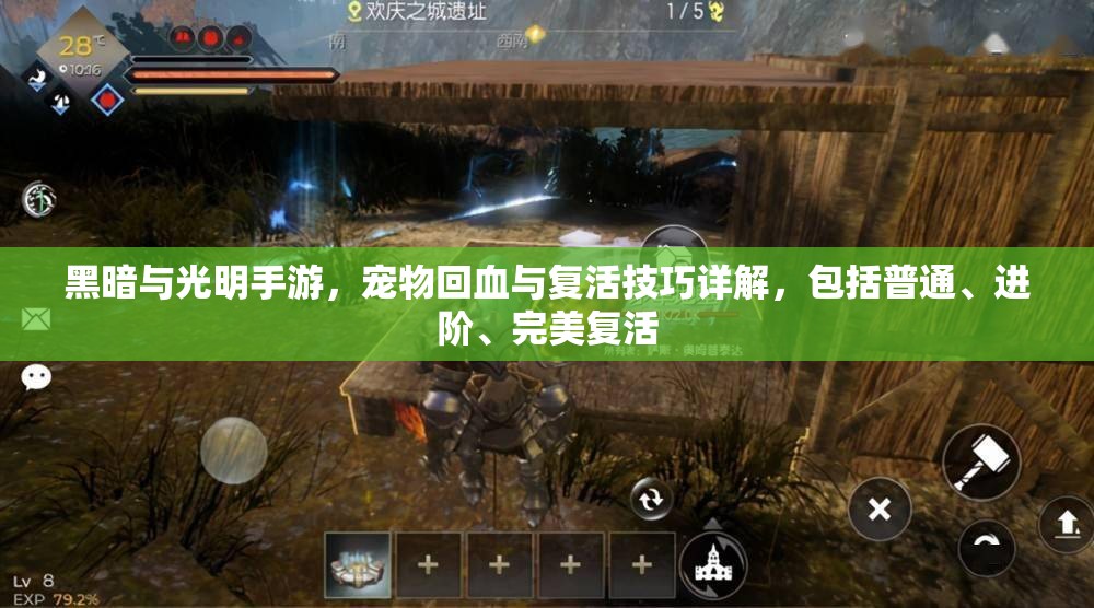 黑暗与光明手游，宠物回血与复活技巧详解，包括普通、进阶、完美复活