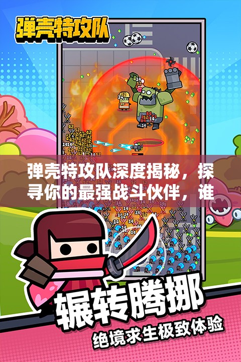 弹壳特攻队深度揭秘，探寻你的最强战斗伙伴，谁才是最佳拍档？
