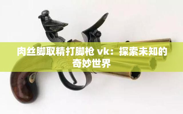 肉丝脚取精打脚枪 vk：探索未知的奇妙世界