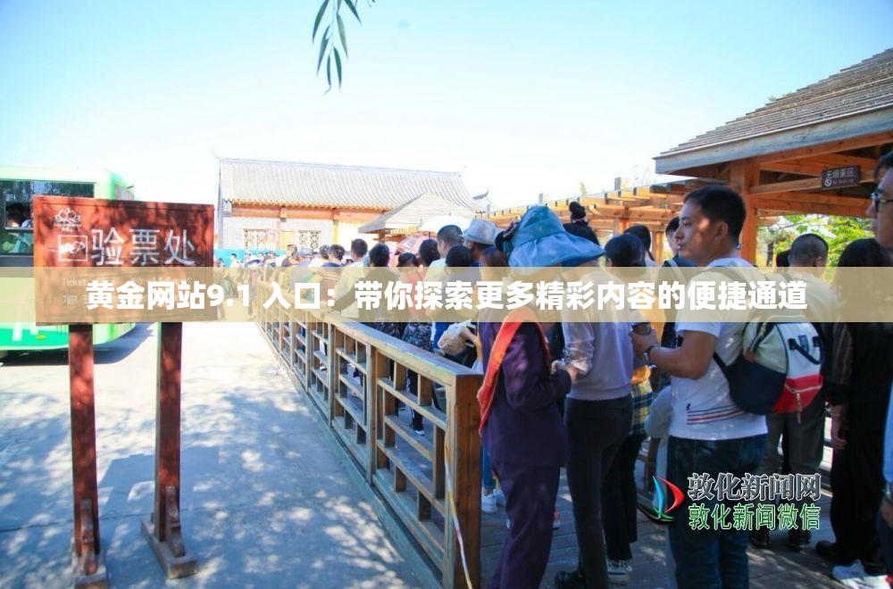 黄金网站9.1 入口：带你探索更多精彩内容的便捷通道