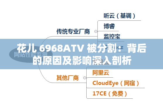 花儿 6968ATV 被分割：背后的原因及影响深入剖析