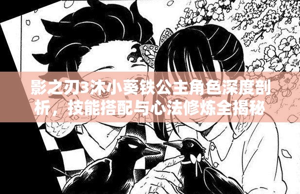 影之刃3沐小葵铁公主角色深度剖析，技能搭配与心法修炼全揭秘