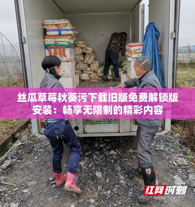 丝瓜草莓秋葵污下载旧版免费解锁版安装：畅享无限制的精彩内容