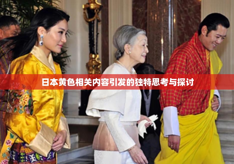 日本黄色相关内容引发的独特思考与探讨