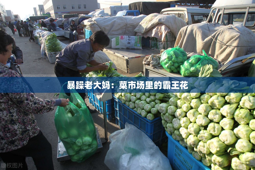 暴躁老大妈：菜市场里的霸王花