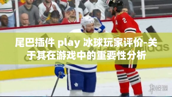 尾巴插件 play 冰球玩家评价-关于其在游戏中的重要性分析