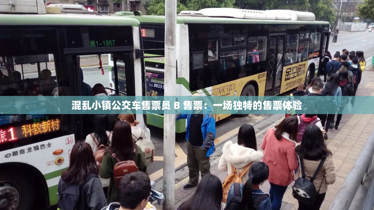 混乱小镇公交车售票员 B 售票：一场独特的售票体验