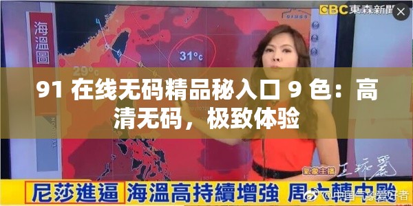 91 在线无码精品秘入口 9 色：高清无码，极致体验
