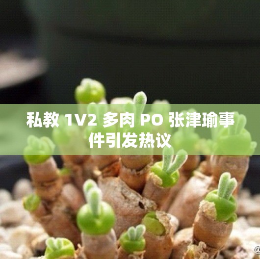 私教 1V2 多肉 PO 张津瑜事件引发热议