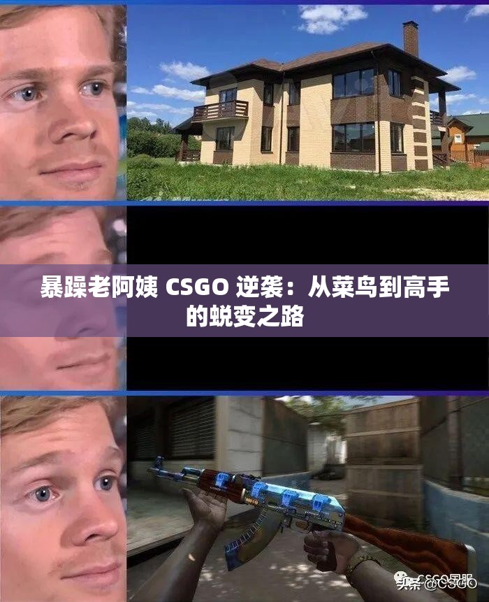 暴躁老阿姨 CSGO 逆袭：从菜鸟到高手的蜕变之路