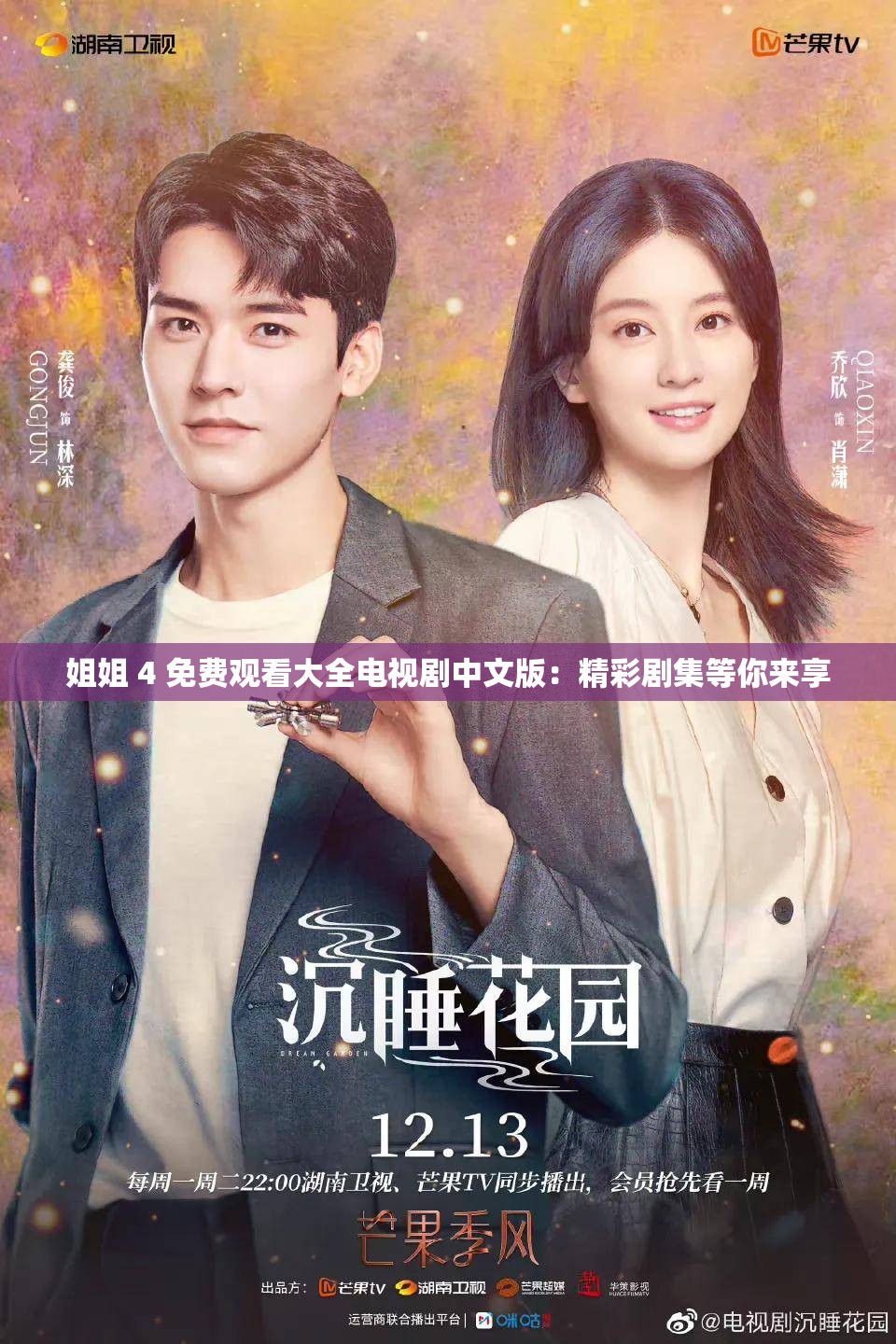 姐姐 4 免费观看大全电视剧中文版：精彩剧集等你来享